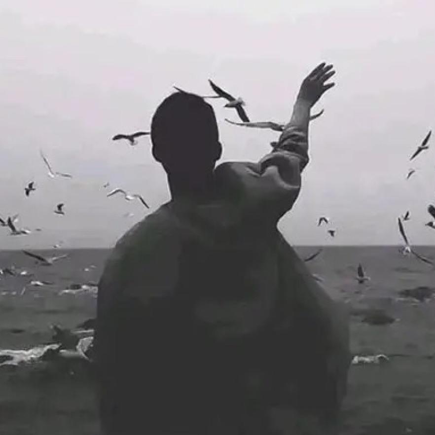 白嫖怪