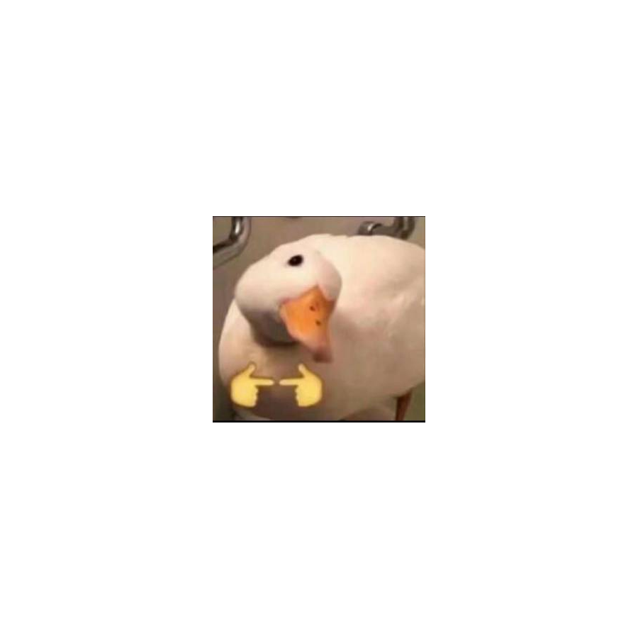 亖亖亖亖