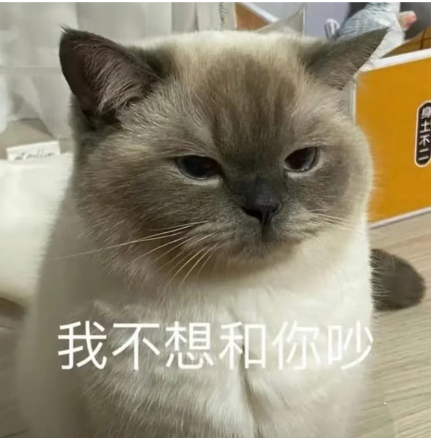 阿猫