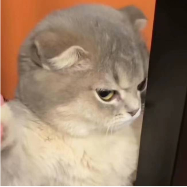 敖多敖多敖