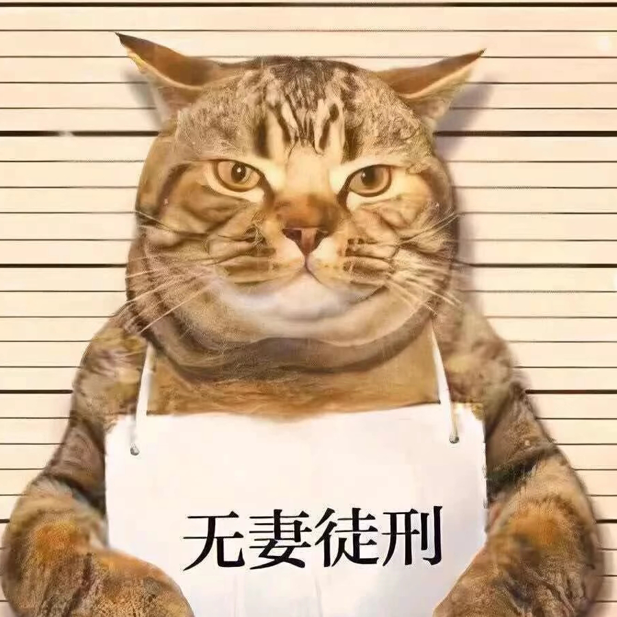『』冰島『』