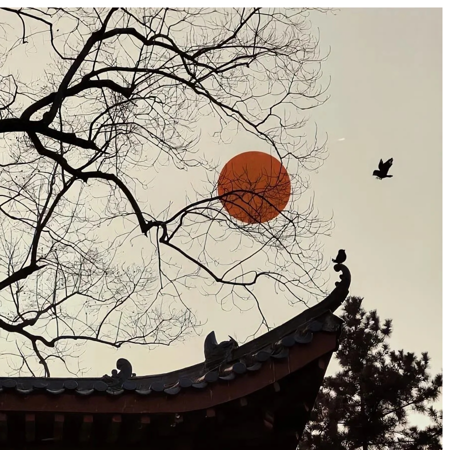 晚风依如故