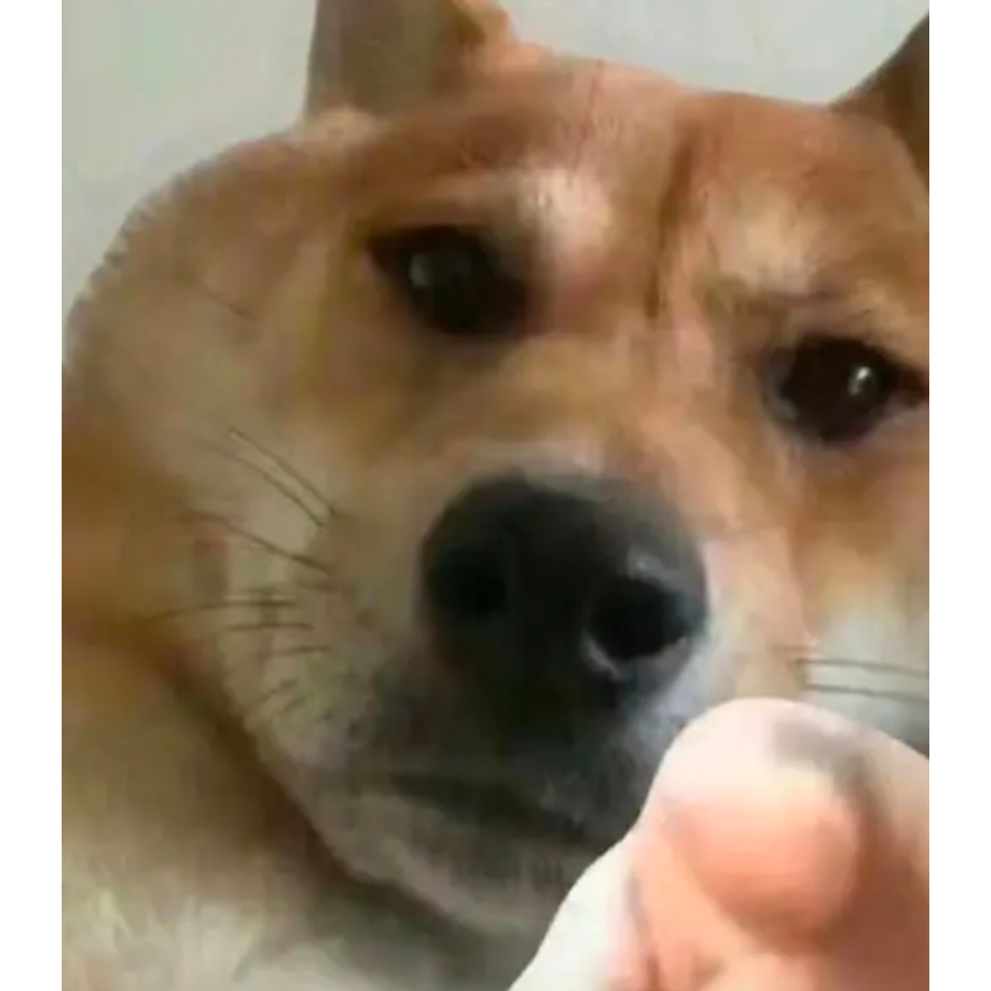老杯被