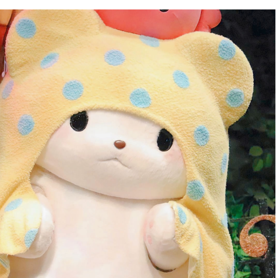 星星哒