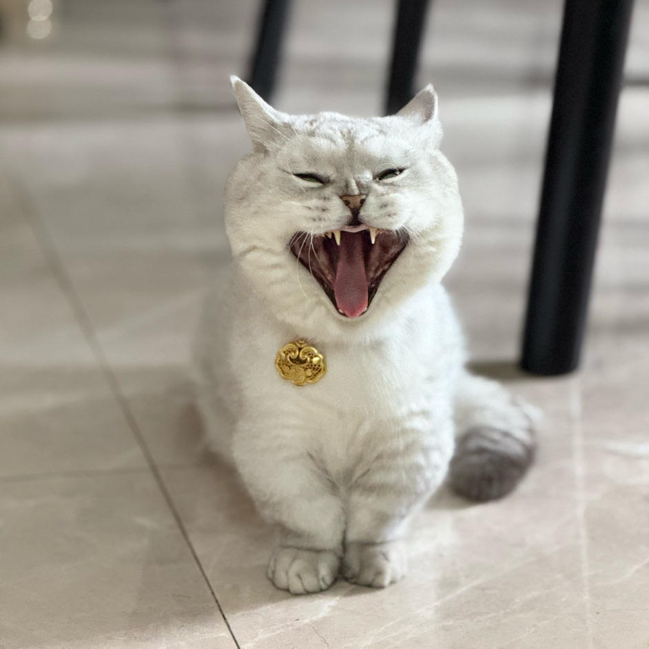 终于欧了一回