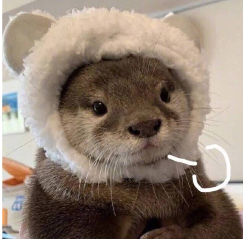 三只颢子