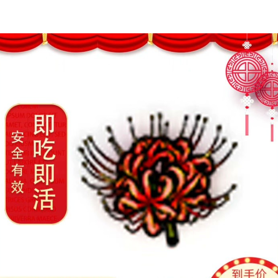 彼岸花