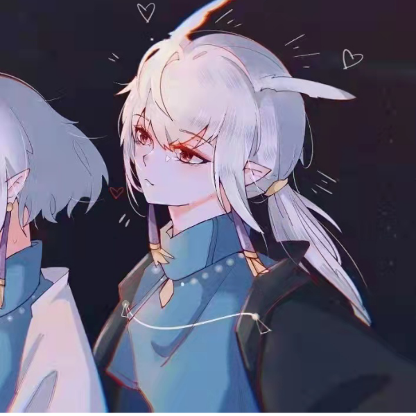 师