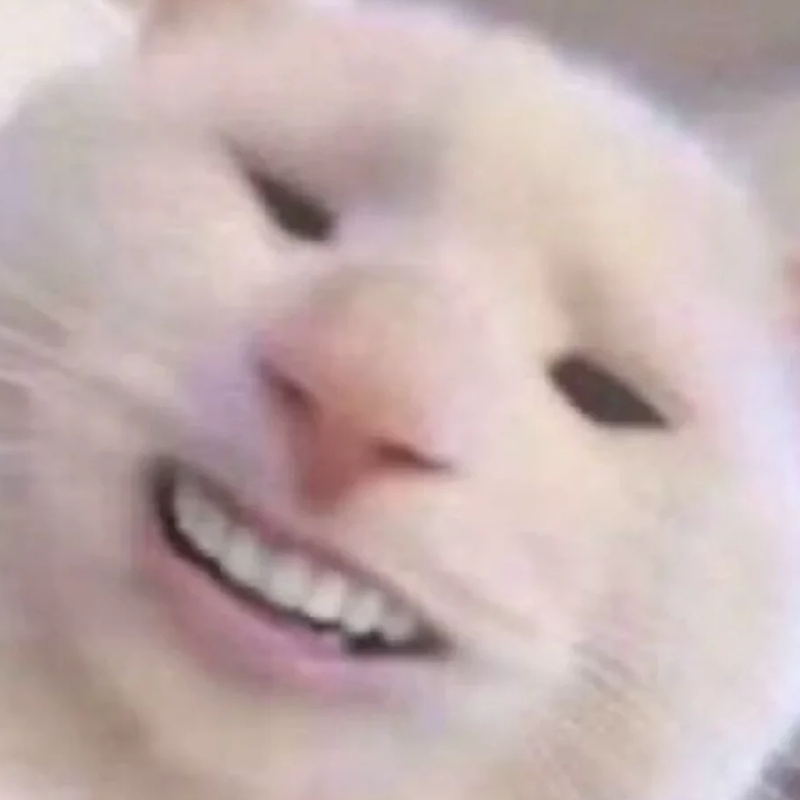 Timm