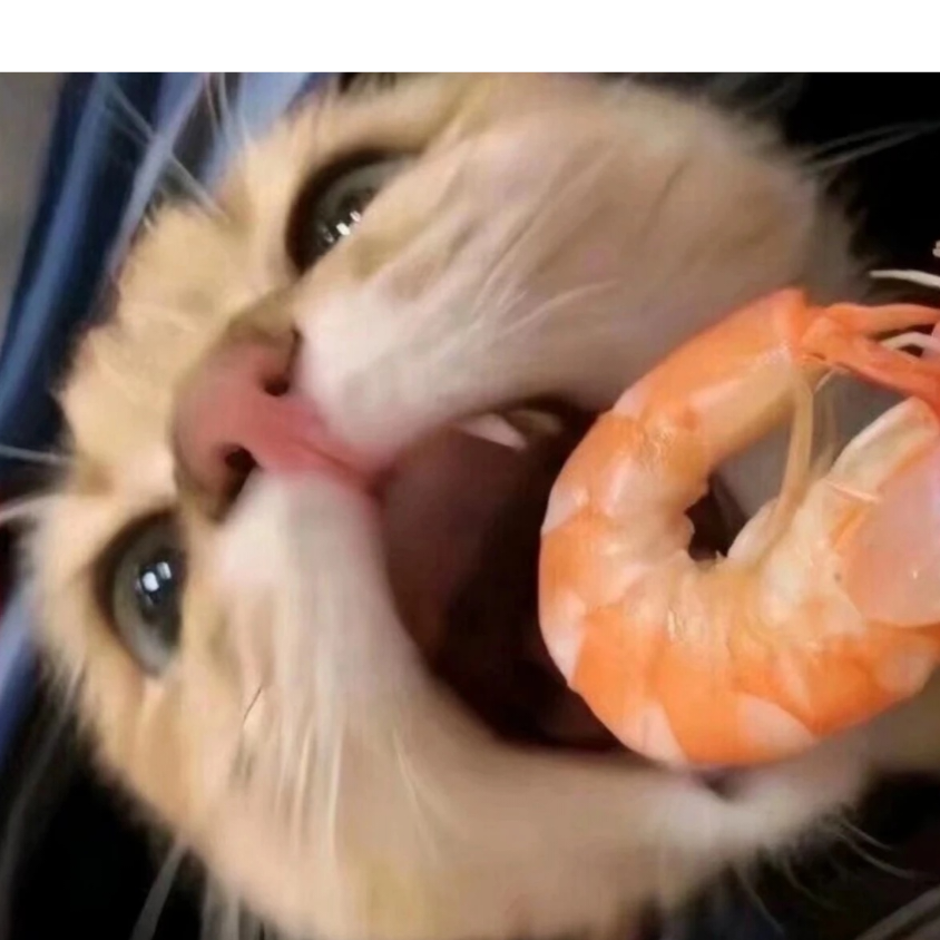 祈风