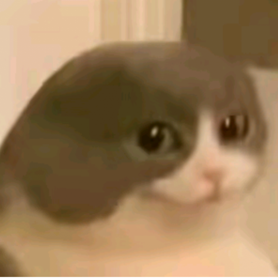 李小白