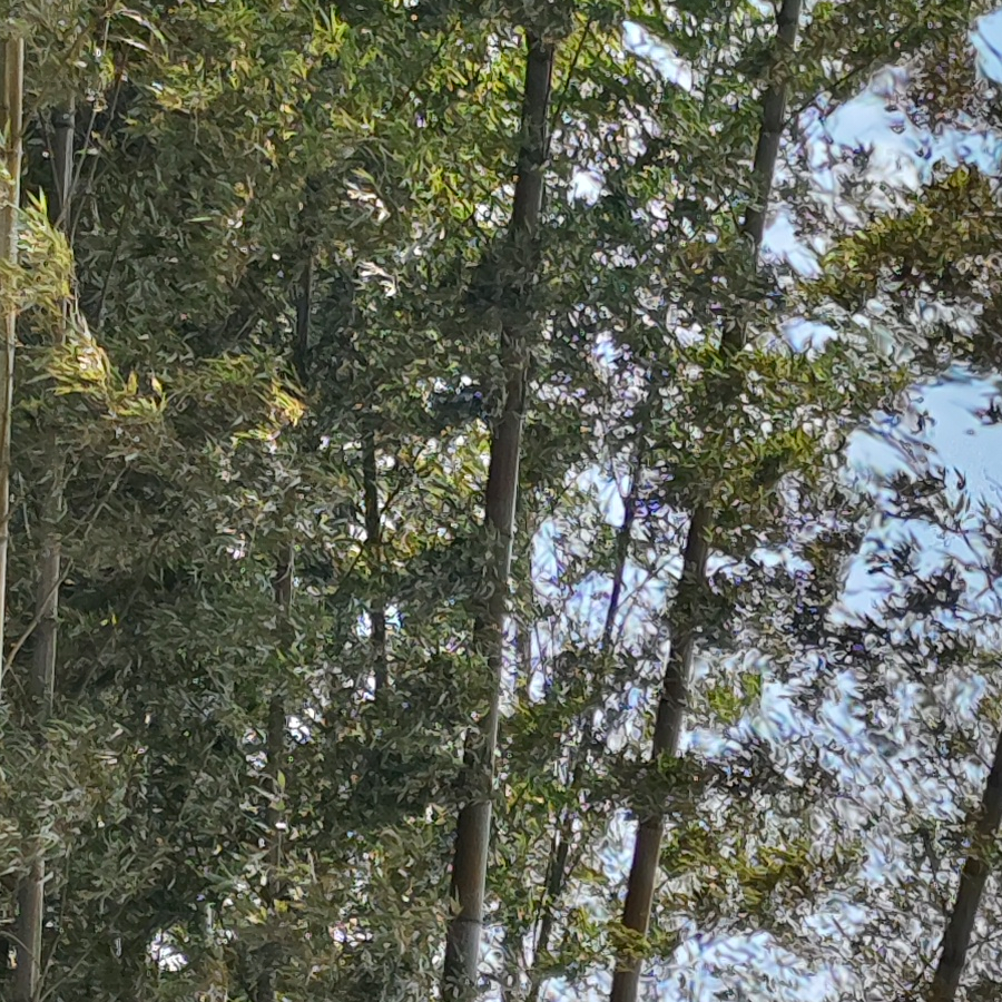 明天