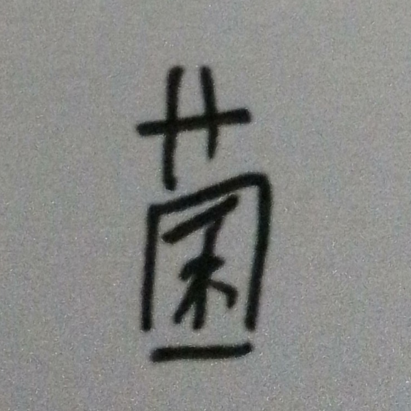 菌子以自抢不洗