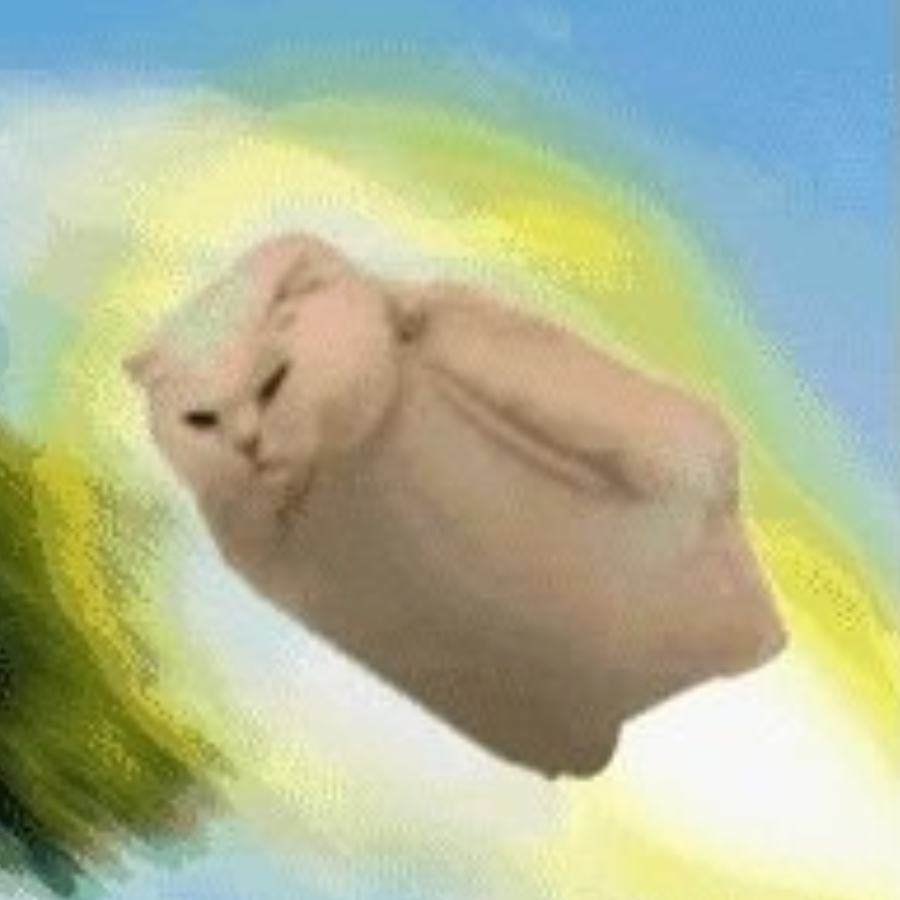 (✽ ﾟдﾟ ✽)