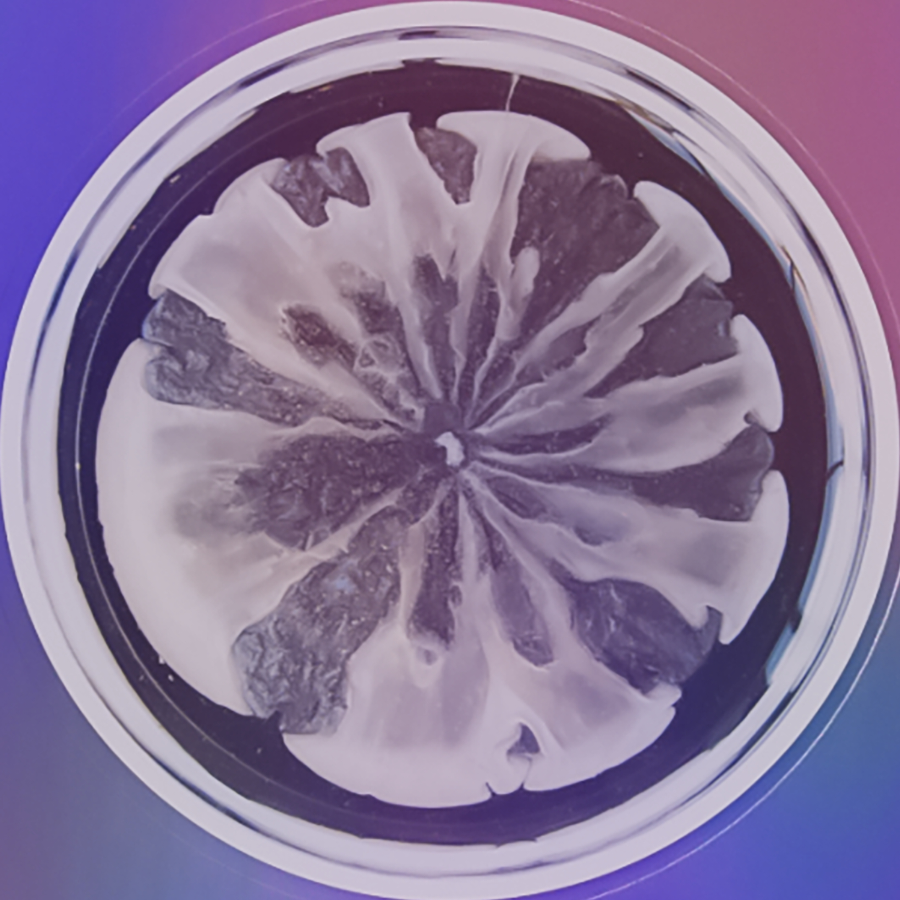 情绪管理大师王某