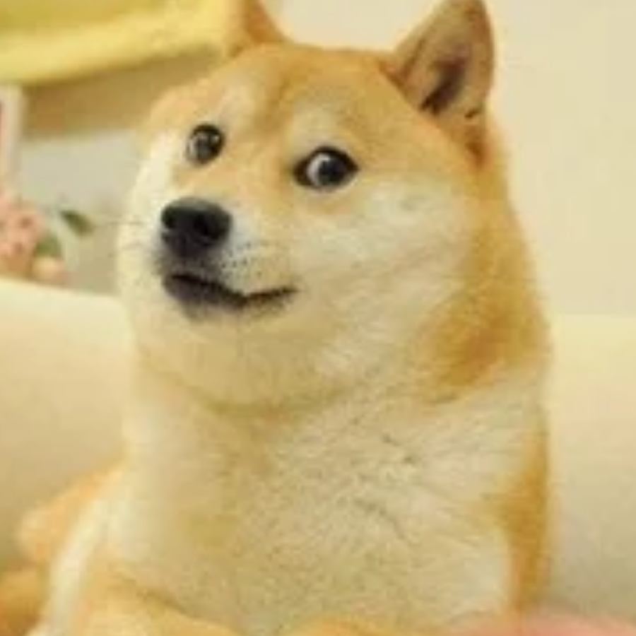 不知道取什么名字