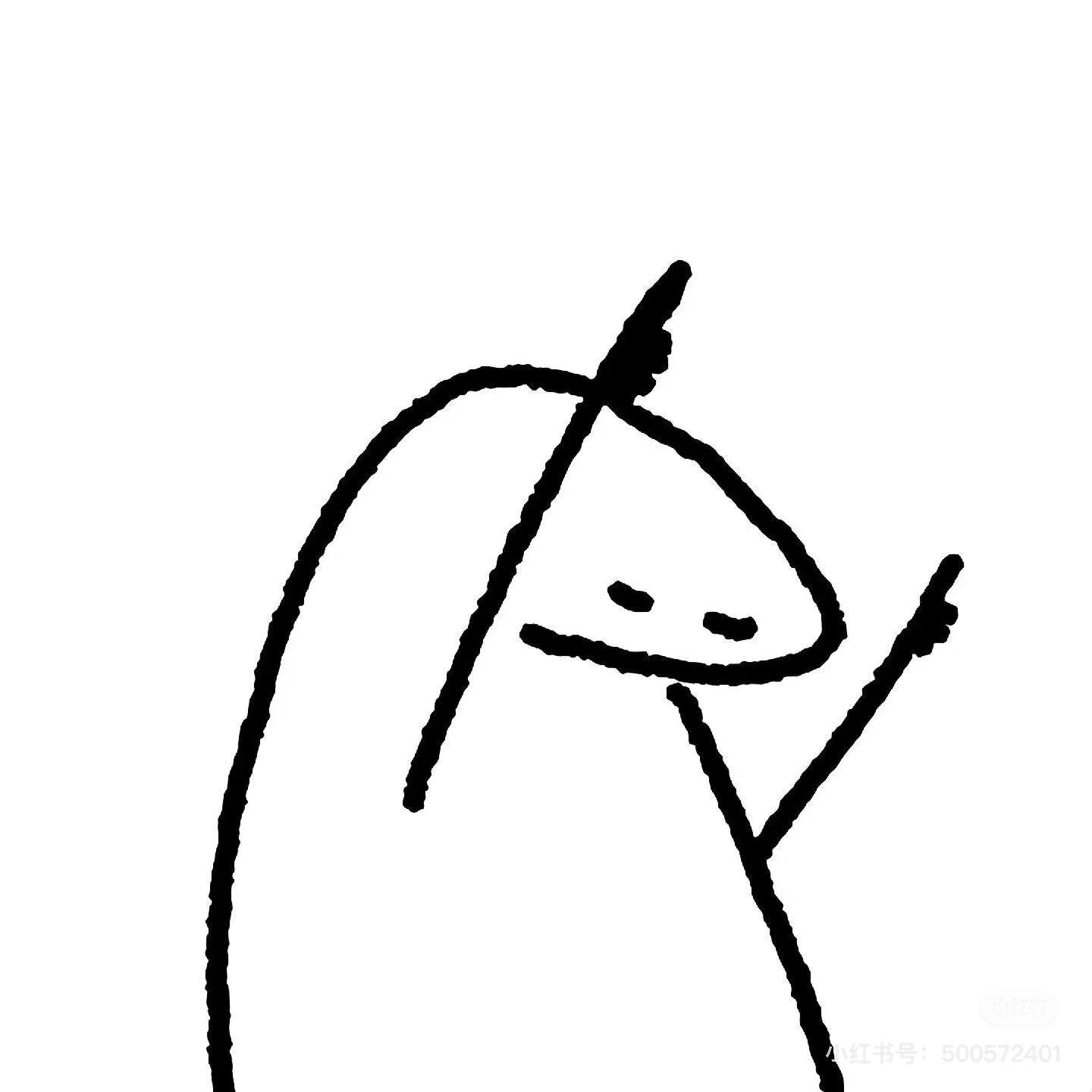 呆舟舟