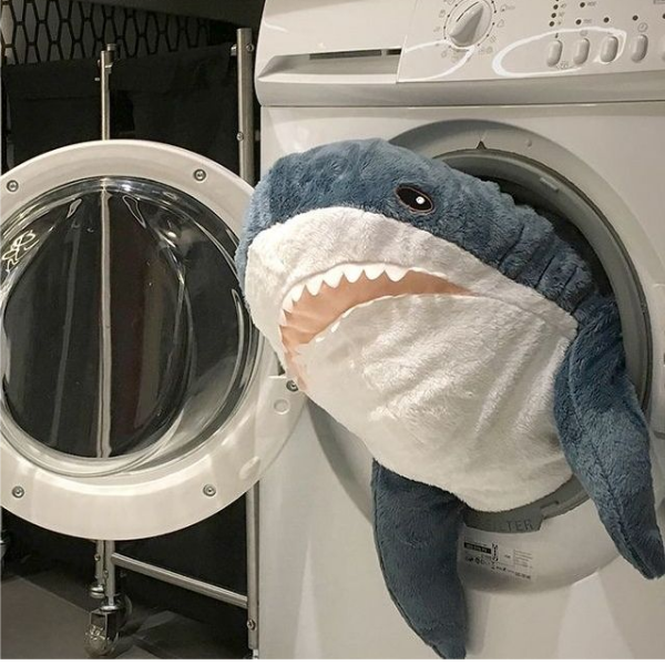 念