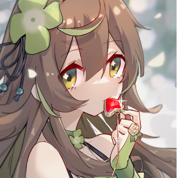 匿名coa