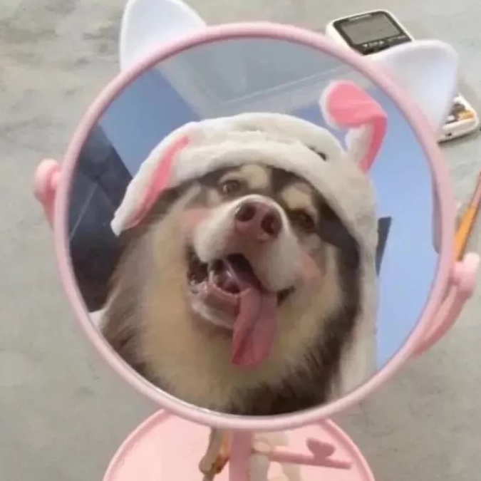 单身汪