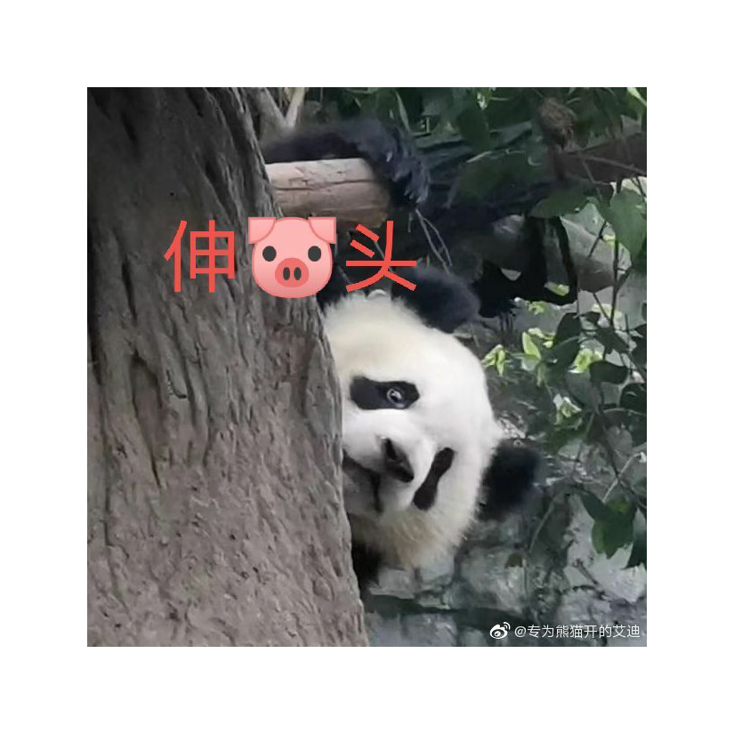 披萨味的菜园小饼