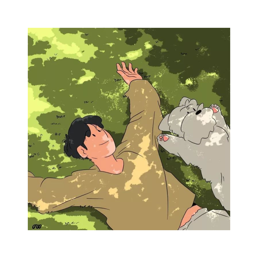 迪