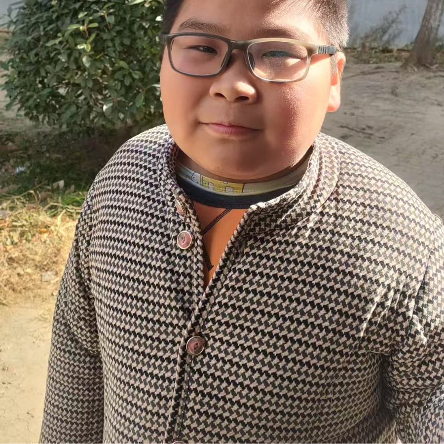 冬