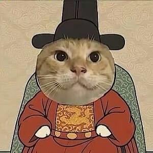 哈哈基米哈基米先生
