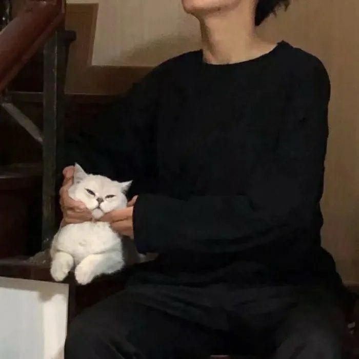 单纯的修仙者