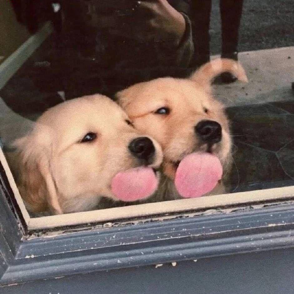 咕咕咕
