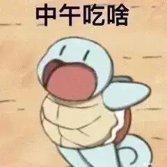 陪你去流浪