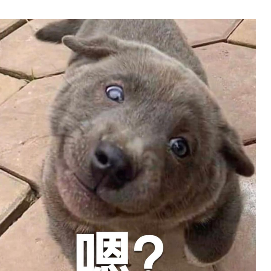 俏皮的砖家