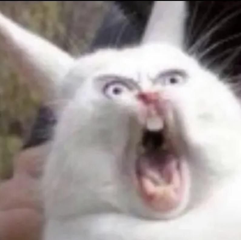 飒爽的单机大神