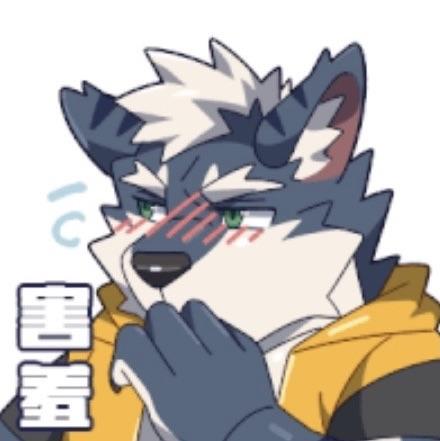泽诺