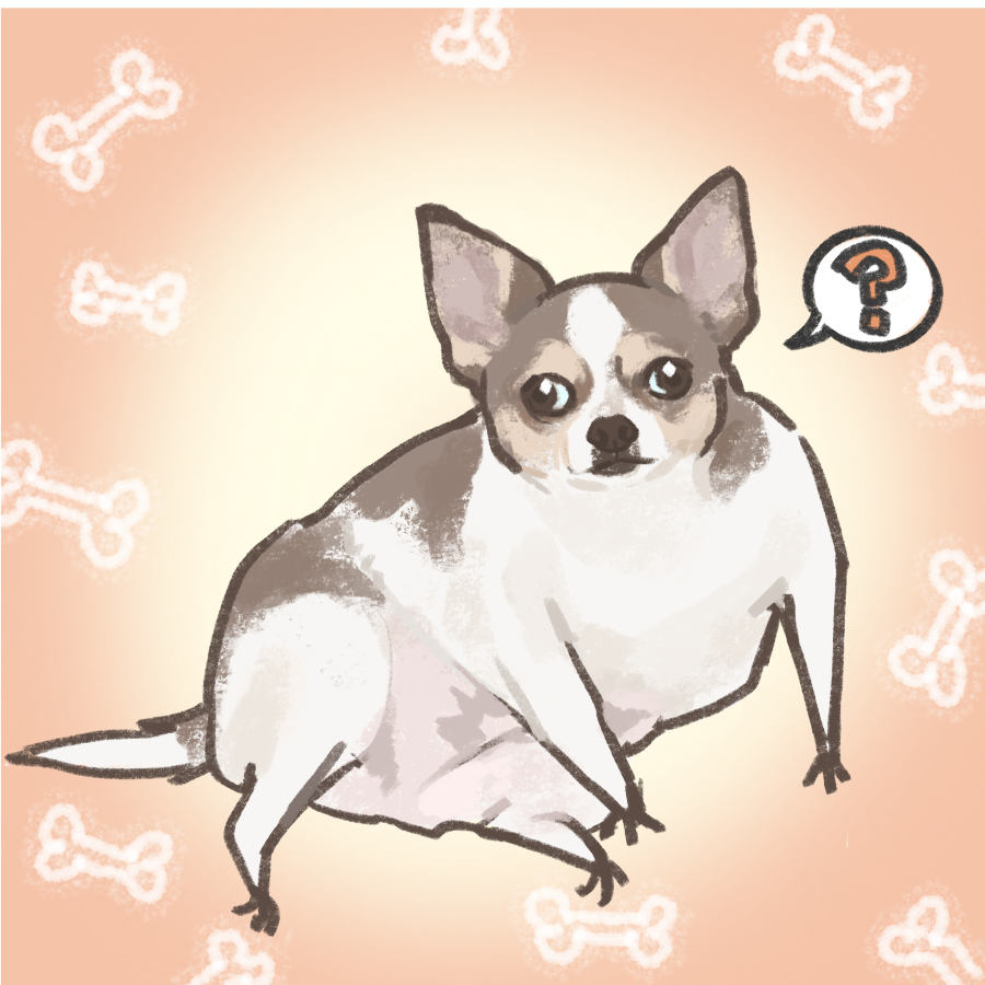 今天咕咕不咕咕