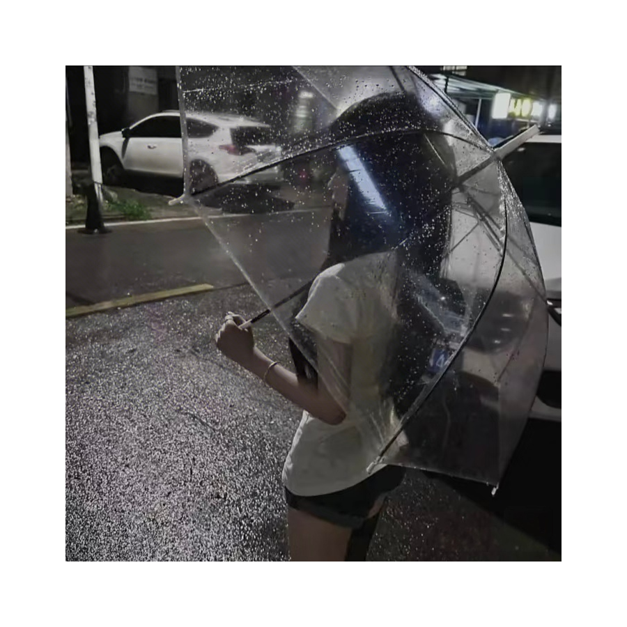 해릉도
