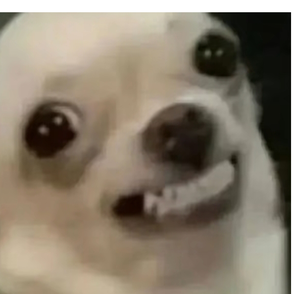 苟苟