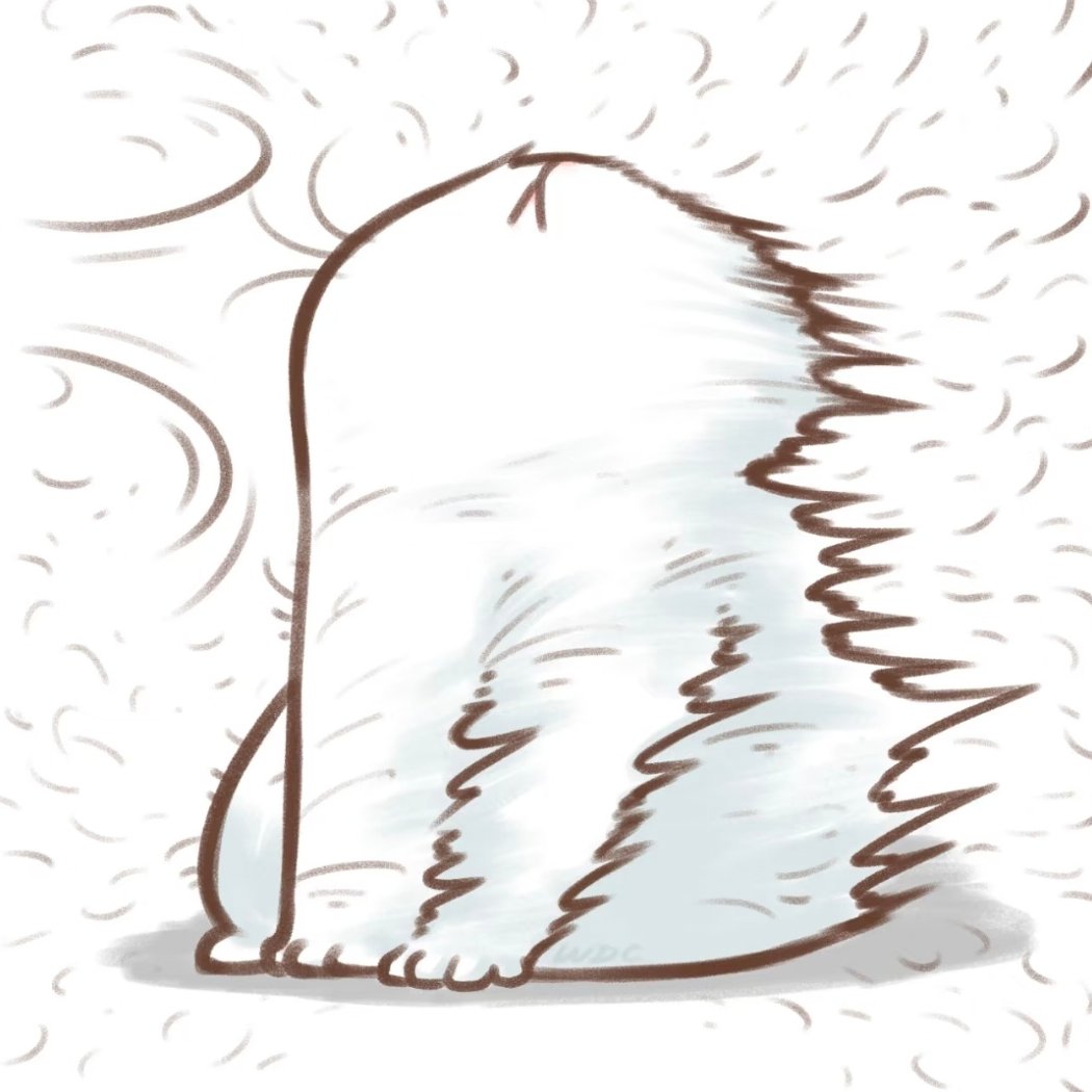 我要两颗西柚