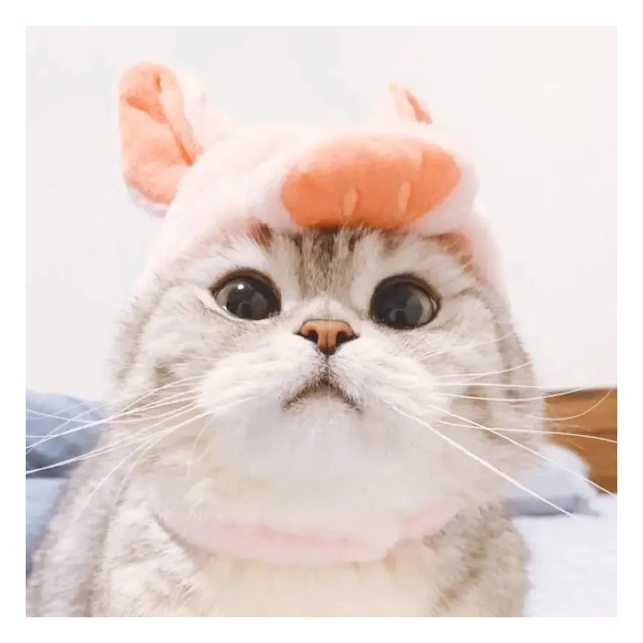清风拂过