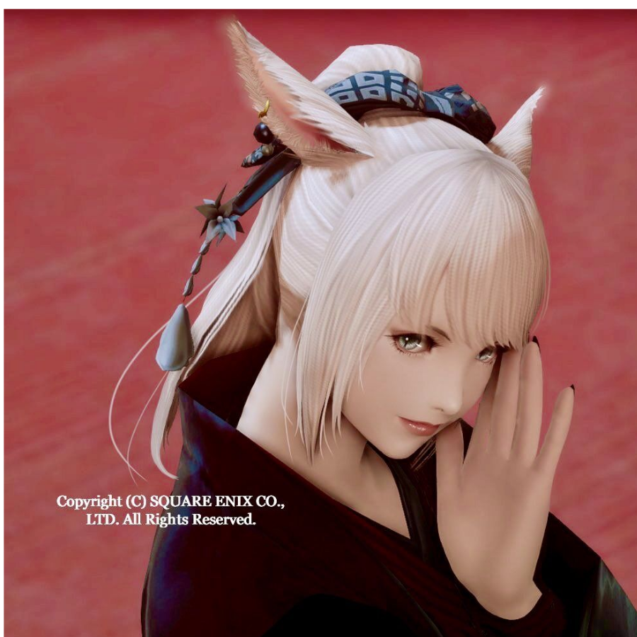 花开娇艳的卷柏