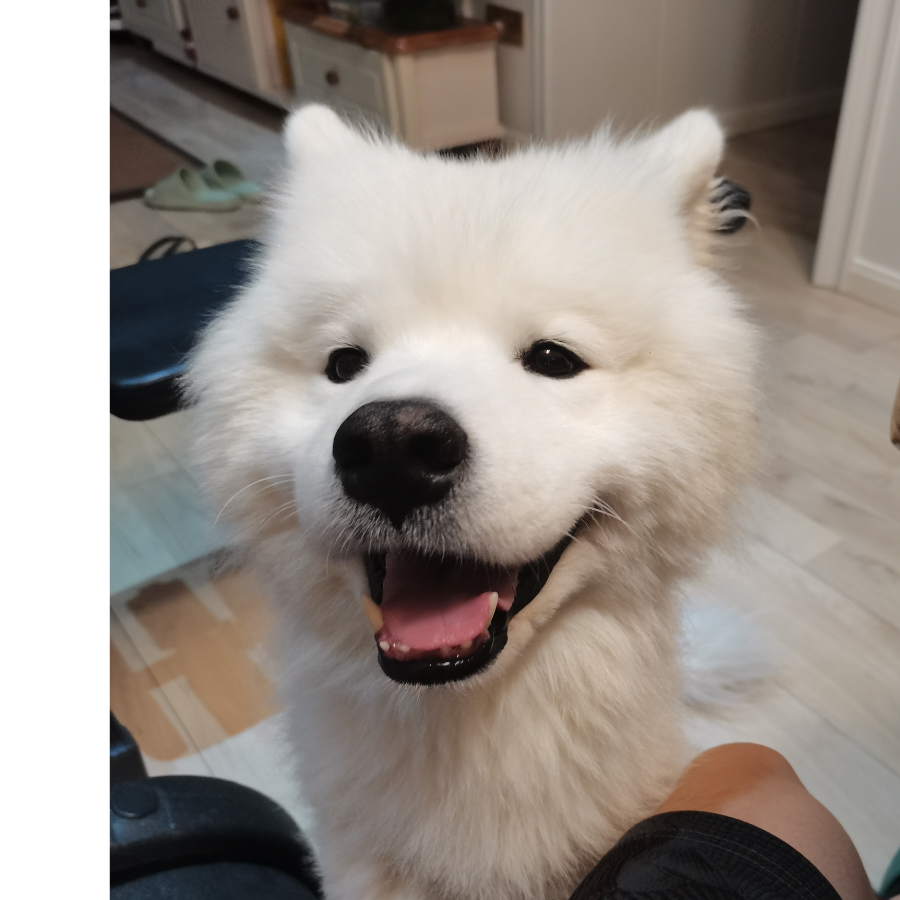 复杂