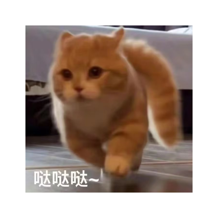 枭欲