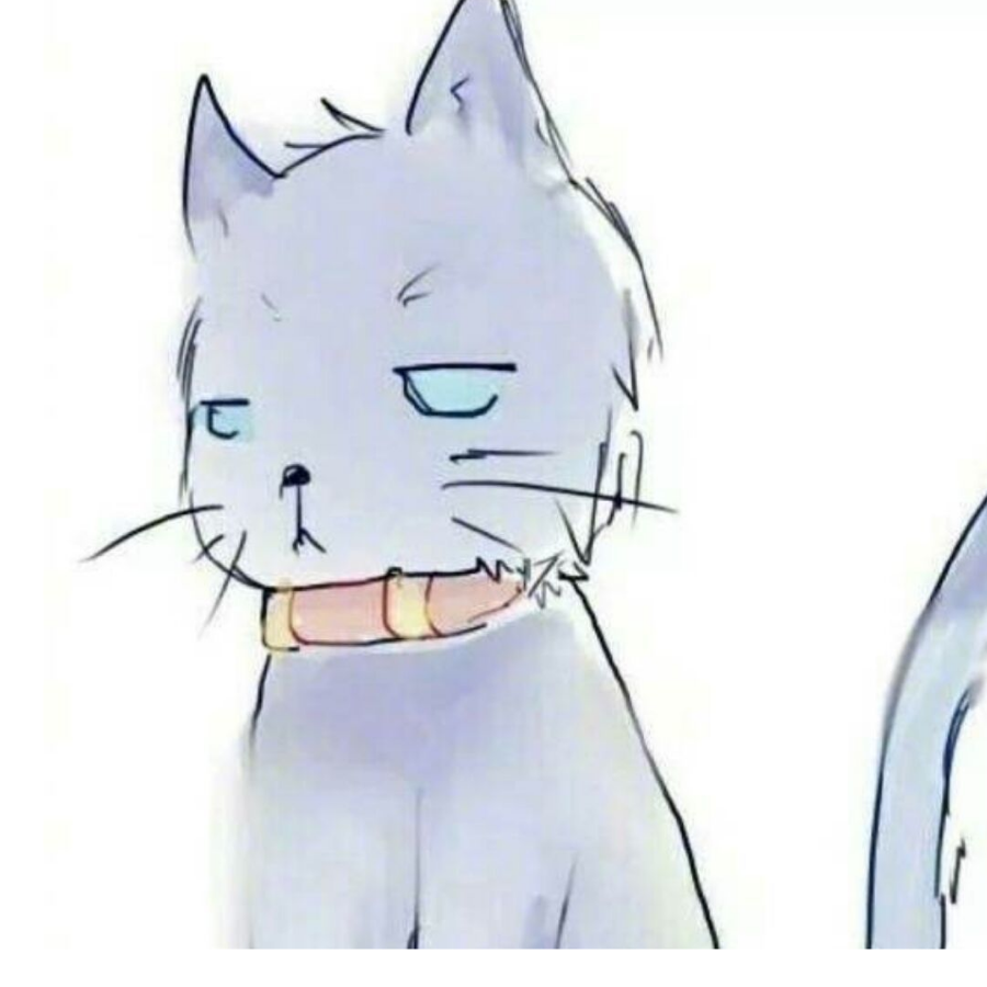 এ᭄ꦿ暮柒彡ζ