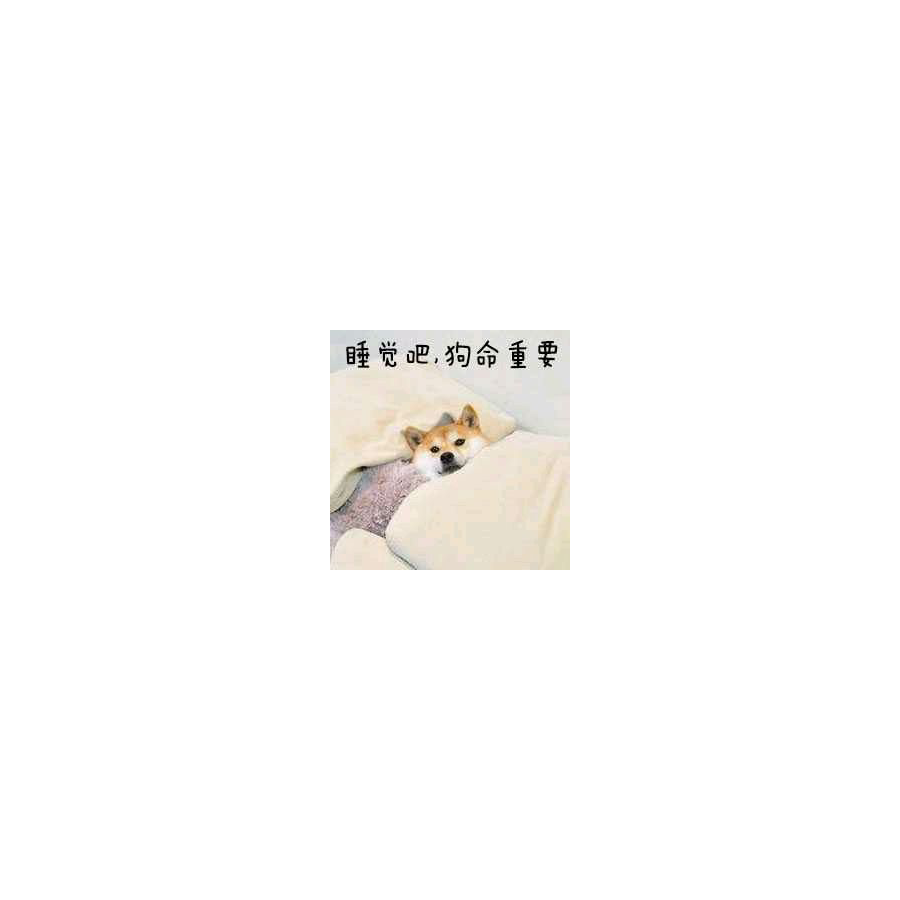 User387895758