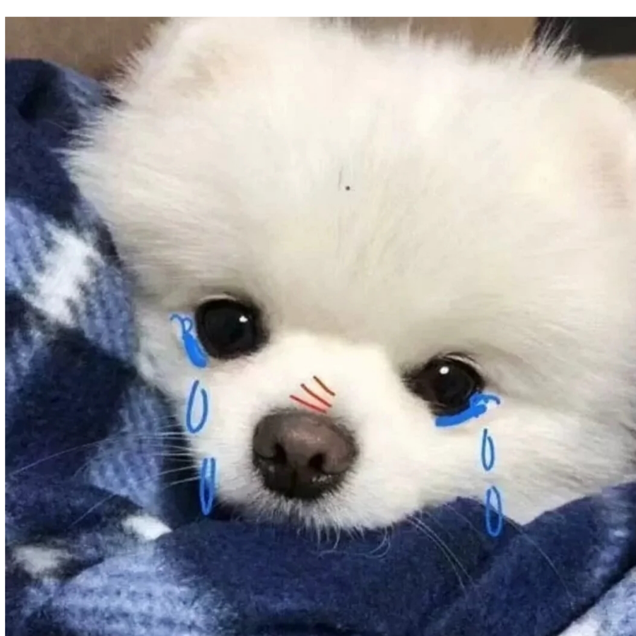 调皮的月