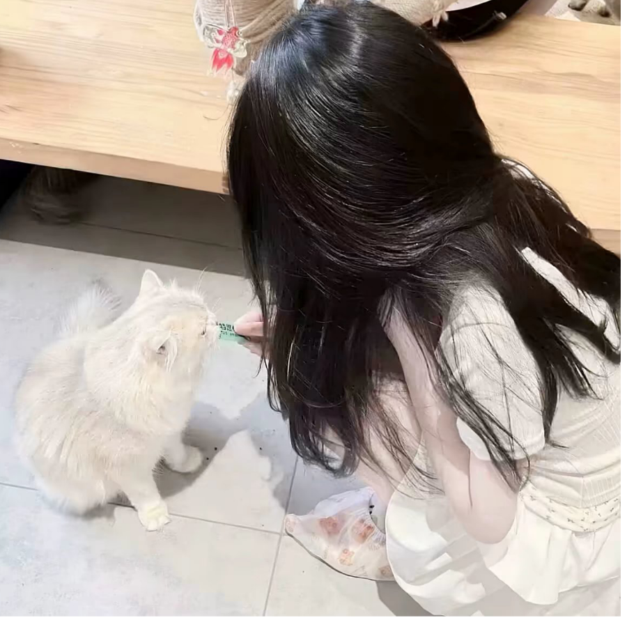 卡丘ღ