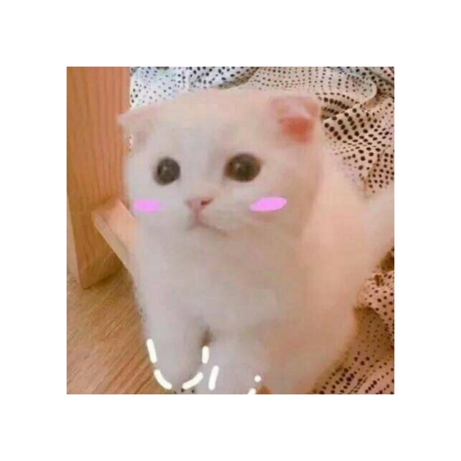 饲猫者