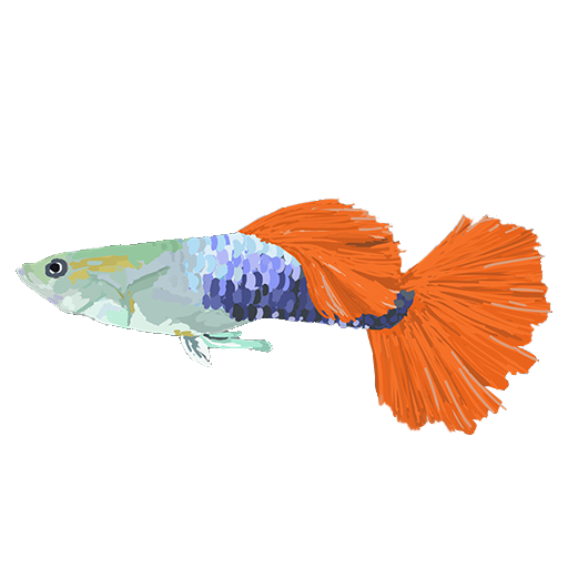 聚光灯 - 搞事小分队