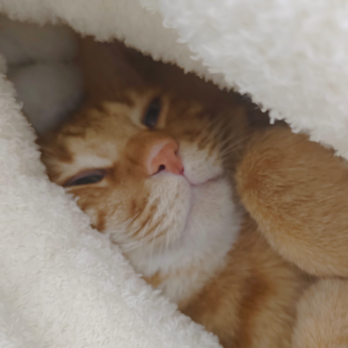 清内个清