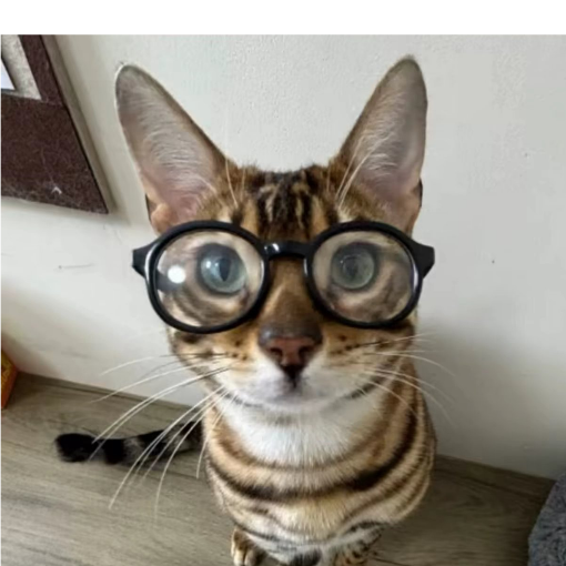 思念